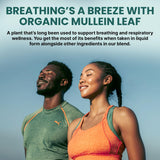 PrimeMD Mullein Leaf Drops 60ml with orange peel and honey