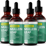 PrimeMD Mullein Leaf Drops 621g front view
