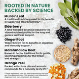 PrimeMD Mullein Leaf Drops ingredients list