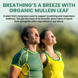 PrimeMD Mullein Leaf Drops with Echinacea