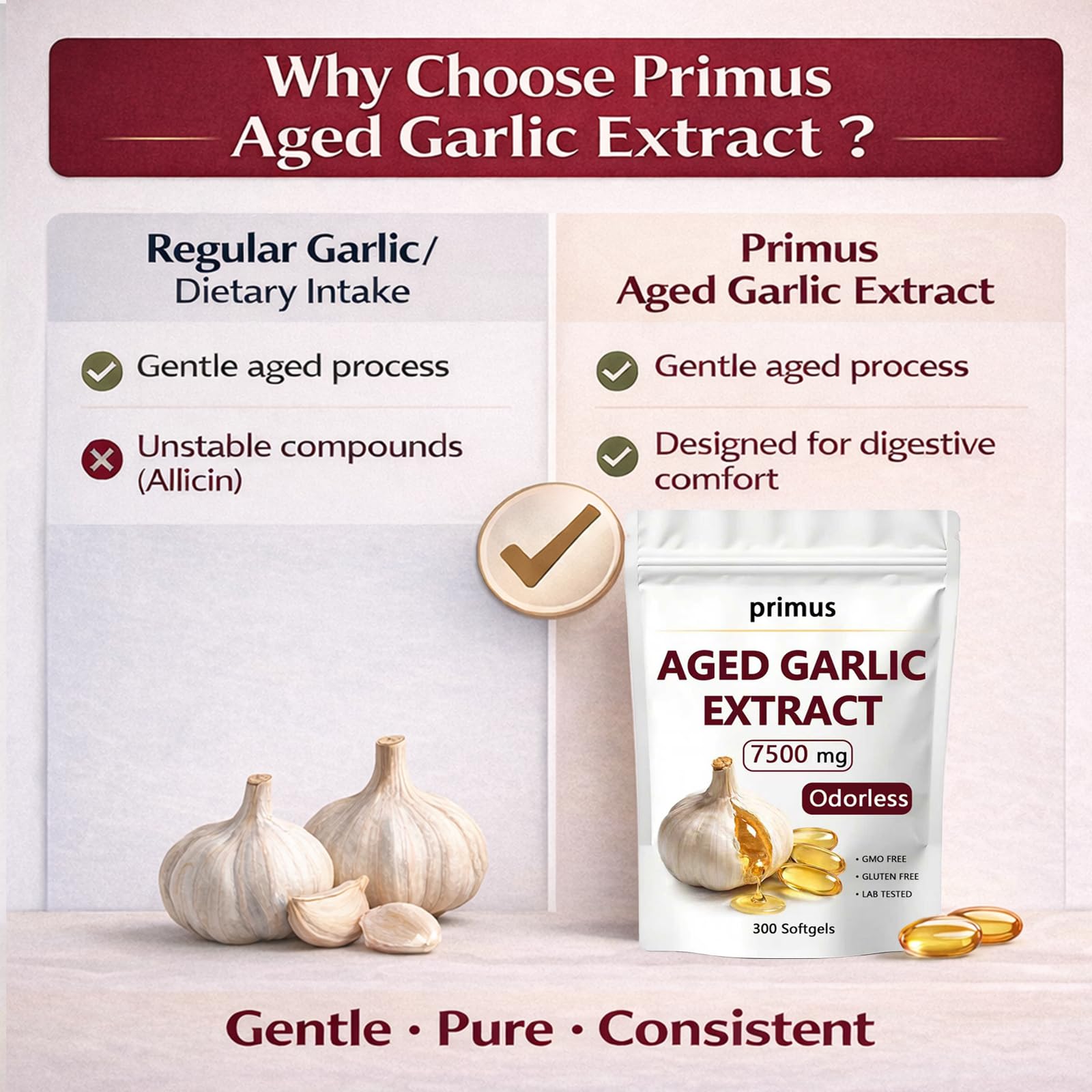 primus Odorless Aged Garlic Extract Softgels lifestyle scene