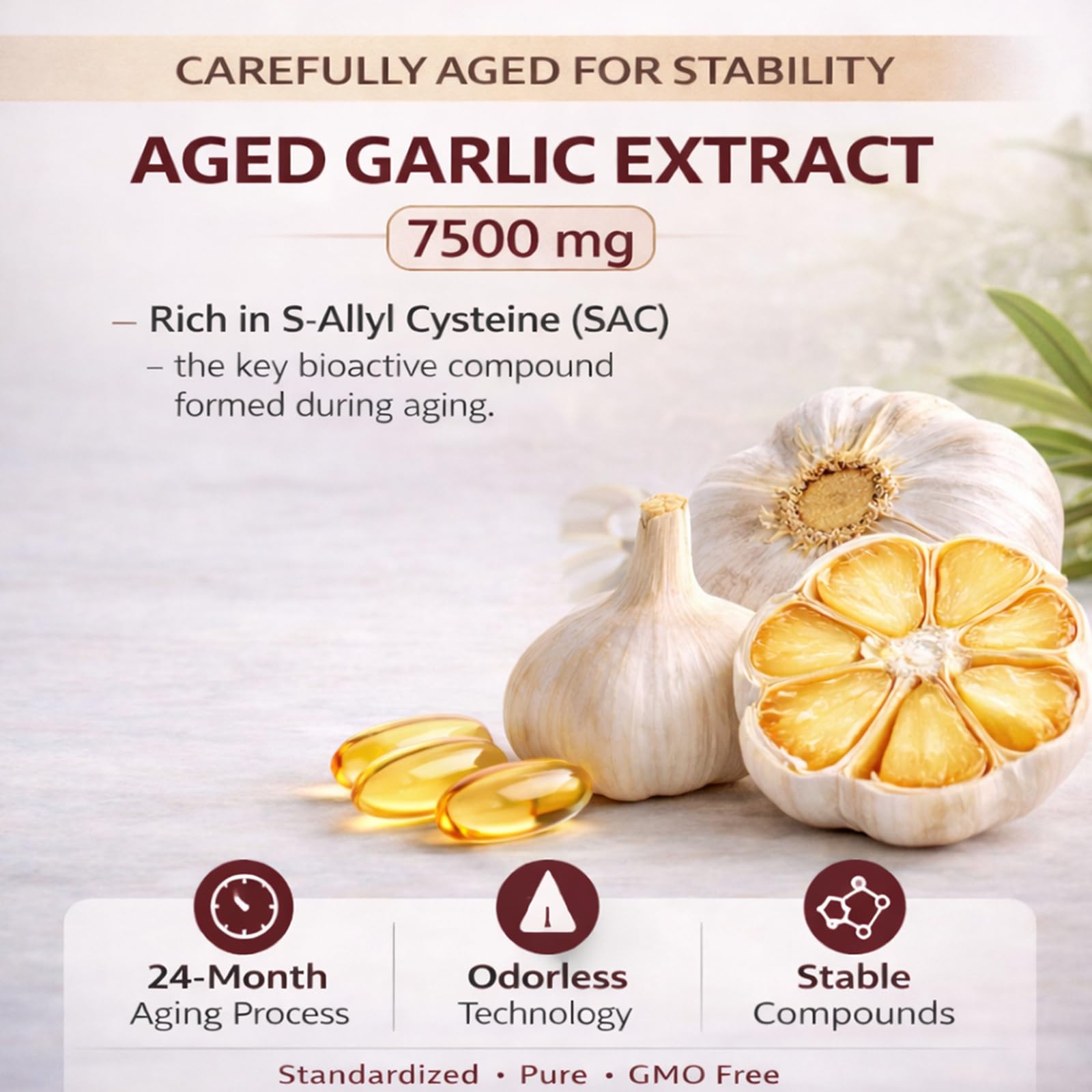primus Odorless Aged Garlic Extract Softgels side view