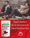 Pristine Nutri Organic Dried Hawthorn Berries in a bowl