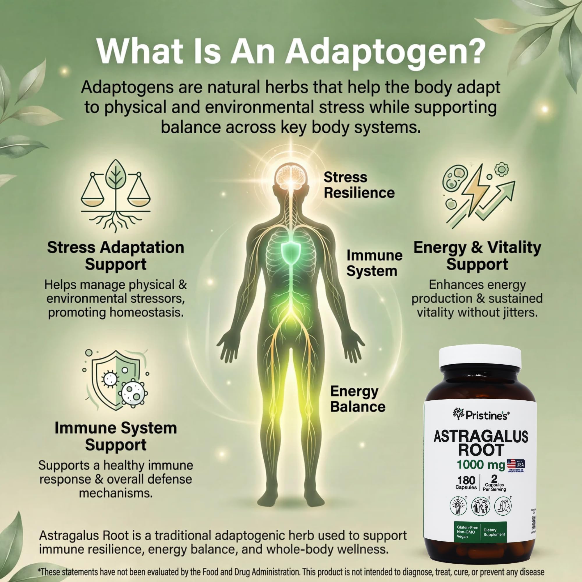 PRISTINE'S Astragalus Root Extract 1000mg capsules in a health setting