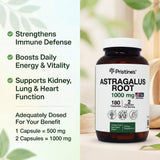 PRISTINE'S Astragalus Root Extract 1000mg packaging details