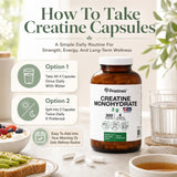 PRISTINE'S Creatine Monohydrate 3000MG nutritional information