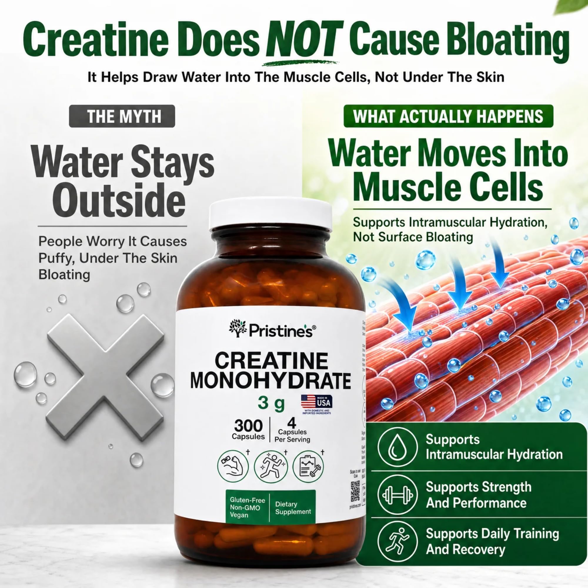 PRISTINE'S Creatine Monohydrate scoop showing powder