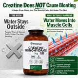 PRISTINE'S Creatine Monohydrate scoop showing powder