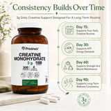 PRISTINE'S Creatine Monohydrate supplement in a gym setting