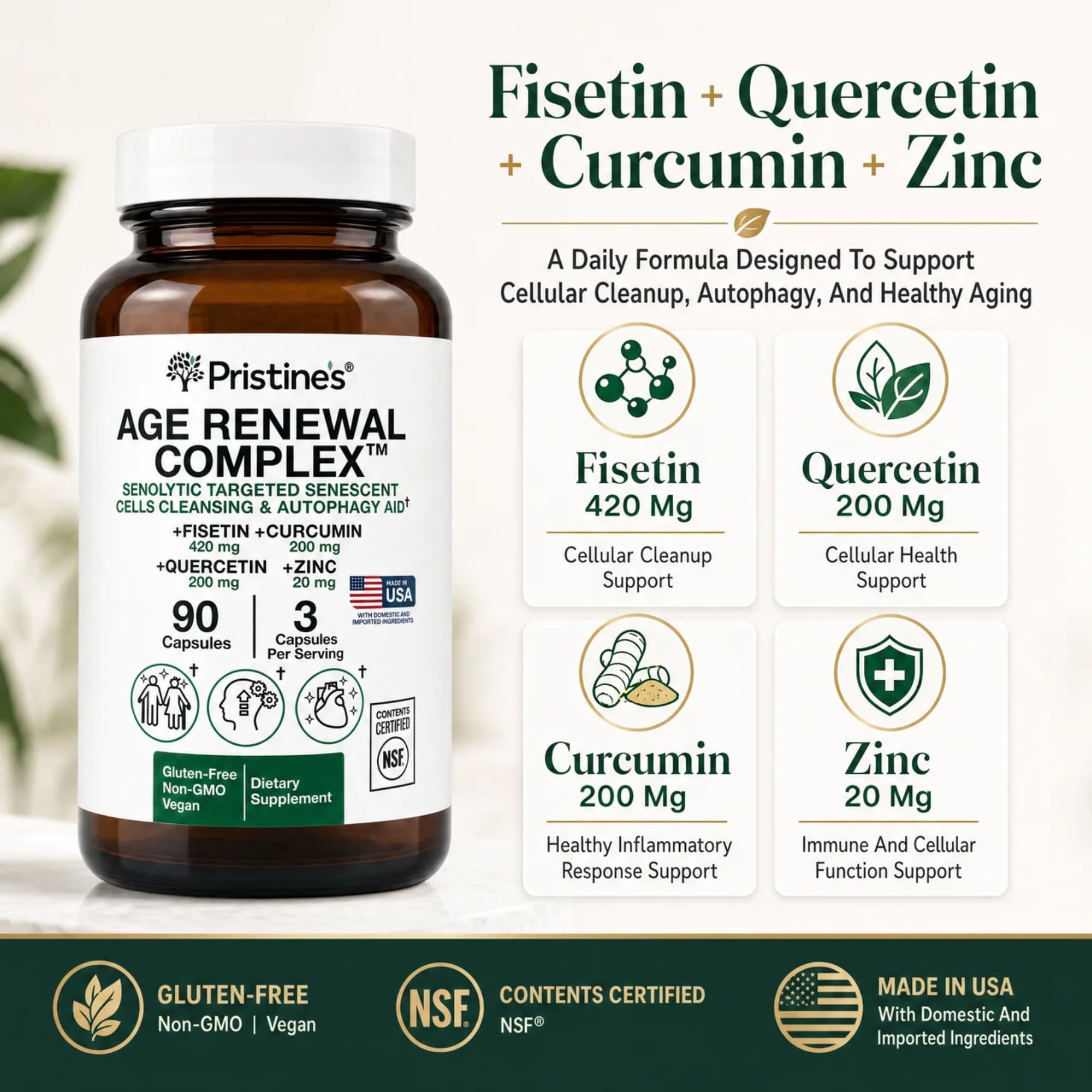 PRISTINE'S Curcumin Supplements back view with ingredient list