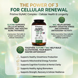 PRISTINE'S Glutathione Support Tablets back view with ingredients