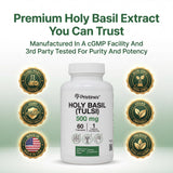 PRISTINE'S Holy Basil Supplement side view showing packaging
