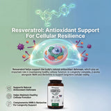 PRISTINE'S Longevity Complete supplement close-up of capsules