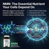 PRISTINE'S Longevity Complete supplement in a lifestyle setting
