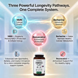 PRISTINE'S Longevity Complete supplement ingredients list on back