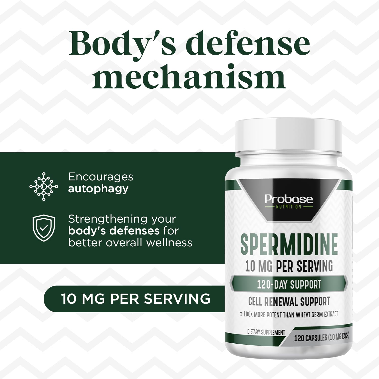 Probase Nutrition Spermidine Capsules 40g bottle with label