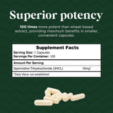 Probase Nutrition Spermidine Capsules 40g with measuring spoon