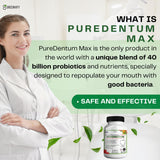 ProDentim Max Probiotic Capsules close-up showing capsule size