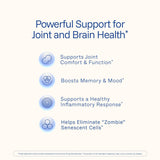 ProHealth Curcumin Supplement 1000mg bottle with label