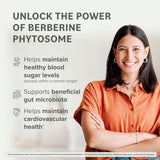 Prominent Nutrition Berberine Phytosome Supplement 550mg capsule close-up