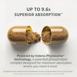 Prominent Nutrition Berberine Phytosome Supplement 550mg packaging
