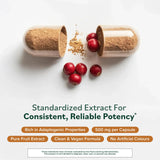 Prominent Nutrition Daily Schisandra Supplement 500mg packaging