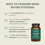 Prominent Nutrition Fucoidan Capsules 250mg lifestyle scene