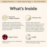 ProMix Nutrition Collagen Peptides 210g side view