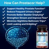 Prostacor Prostate Support Supplement 60 Capsules side view