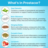 Prostacor Prostate Support Supplement ingredients list