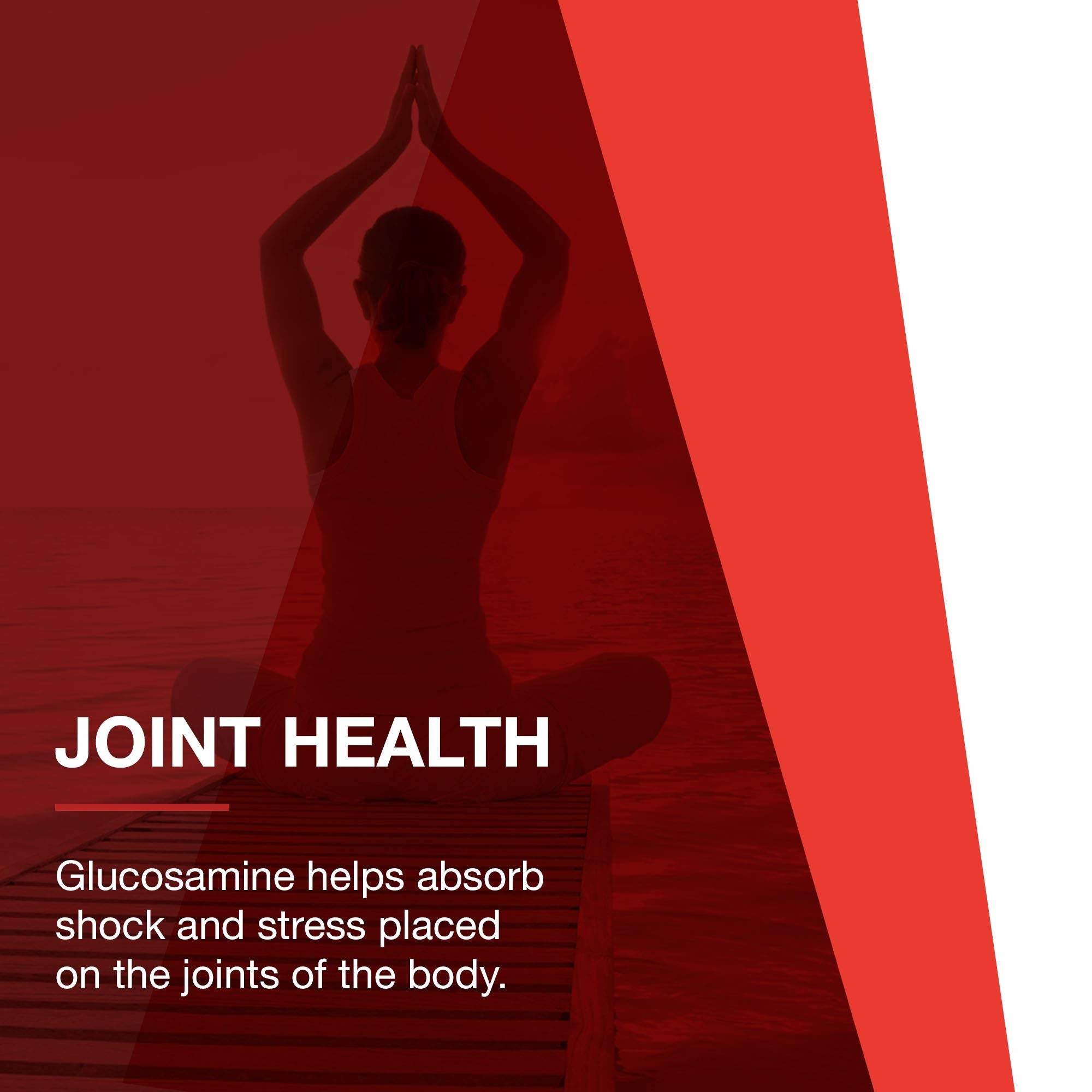 PROTOCOL FOR LIFE BALANCE Chondroitin Joint Support Supplement on a wooden table