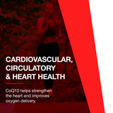 PROTOCOL FOR LIFE BALANCE CoQ10 Supplement bottle with softgels