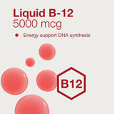 PROTOCOL FOR LIFE BALANCE Liquid B12 5000mcg ingredients list