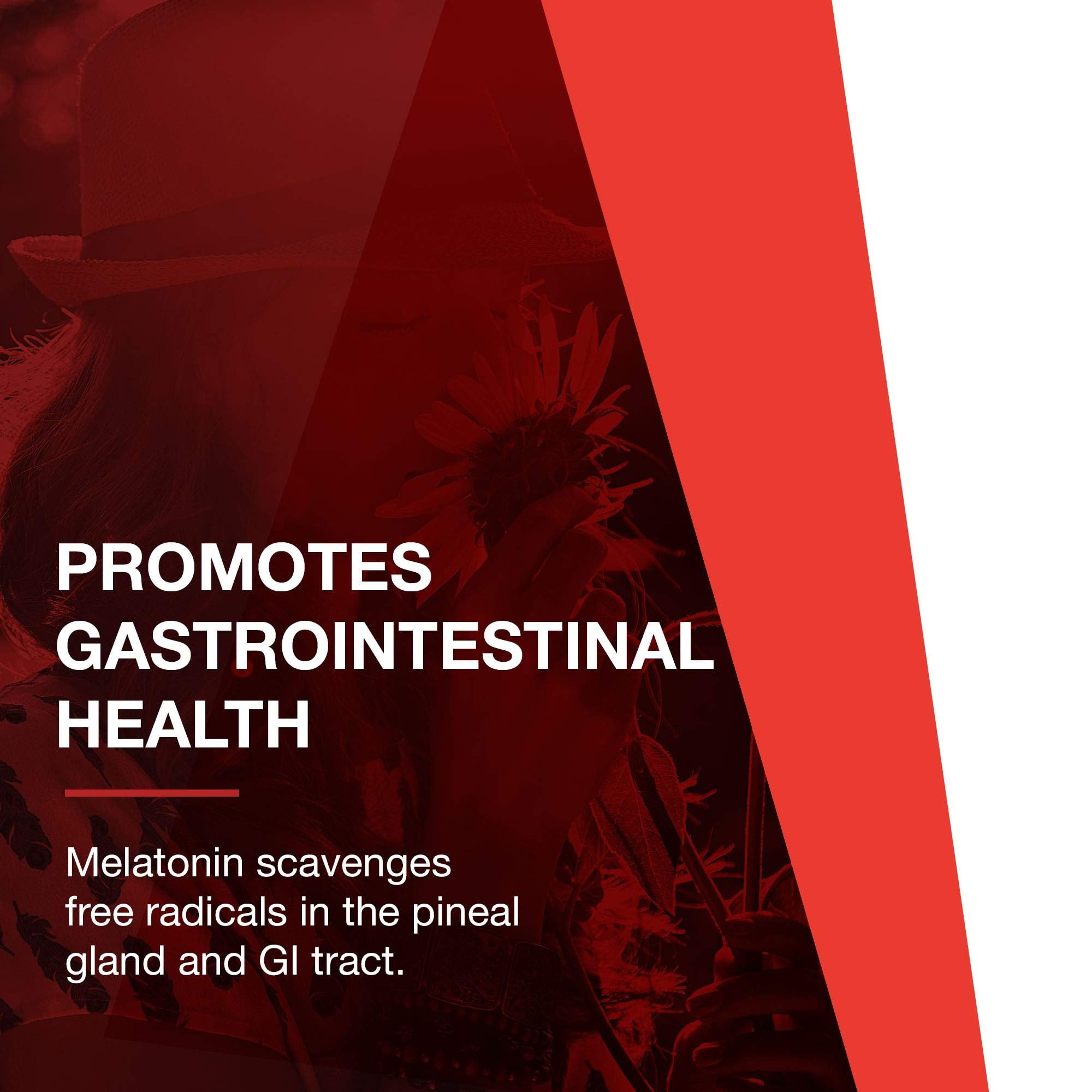 PROTOCOL FOR LIFE BALANCE Melatonin 3mg lozenges on a wooden table