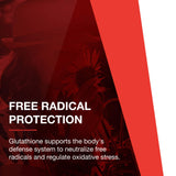 PROTOCOL FOR LIFE BALANCE Milk Thistle Supplement in a hand