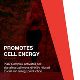PROTOCOL FOR LIFE BALANCE PQQ Complex 20mg 60 Veg Capsules with a glass of water