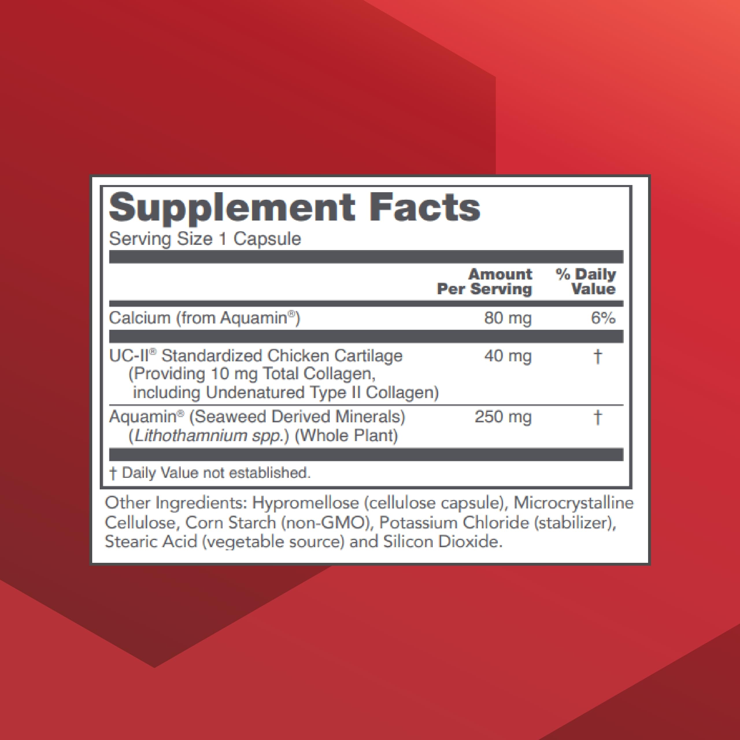 PROTOCOL FOR LIFE BALANCE UC-II Collagen Joint Supplement back view