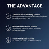 Provilio NAD Resveratrol Supplement 60 Capsules back view