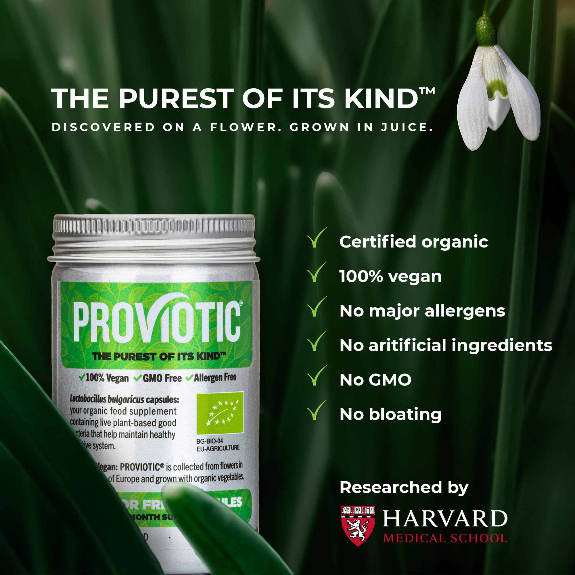 PROVIOTIC Vegan Probiotic Capsules side view showing dosage details