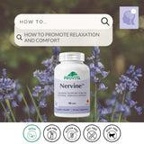 PROVITA Nervine Calm Support Supplement bottle side view