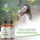Pura Herba Organic Soursop Tincture bottle with dropper