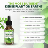 PURA VIDA MORINGA Moringa Extract Liquid lifestyle scene