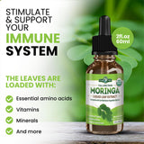 PURA VIDA MORINGA Moringa Extract Liquid with dropper