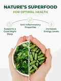 Pura Vida Moringa Organic Moringa Capsules in natural setting
