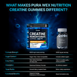 PURA WEX NUTRITION Creatine Gummies bottle with 120 gummies
