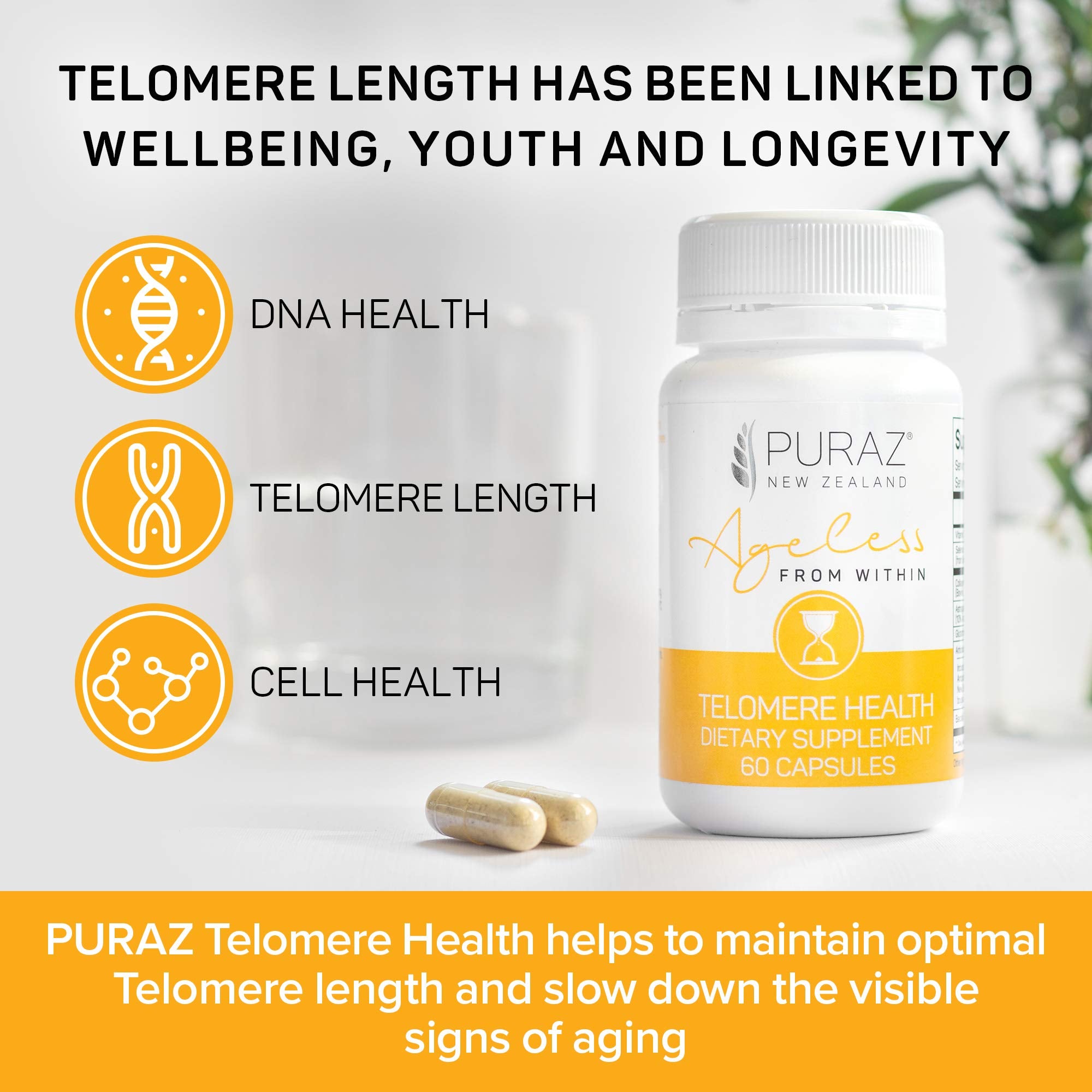 PURAZ Cellular Reset Supplement back view with ingredient list