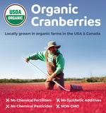 PURE CO Cranberry Extract ingredients list