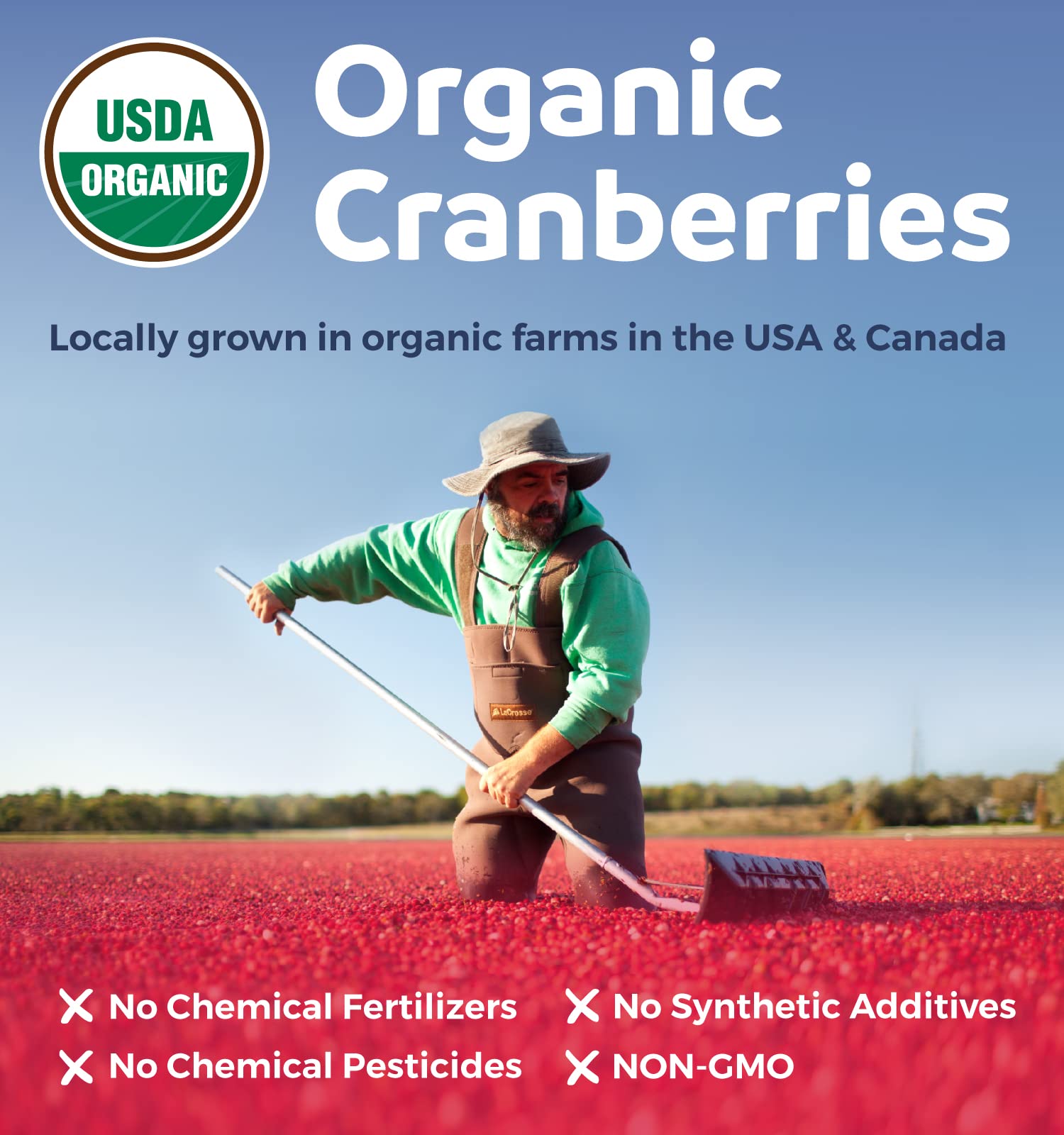 PURE CO Organic Cranberry Concentrate capsules with measuring spoon