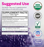 PURE CO Organic Elderberry Extract Capsules 500mg bottle with label