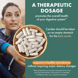 PURE ESSENCE LABS Candex Multi-Enzyme Supplement label close-up
